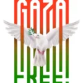 Free Gaza Cup